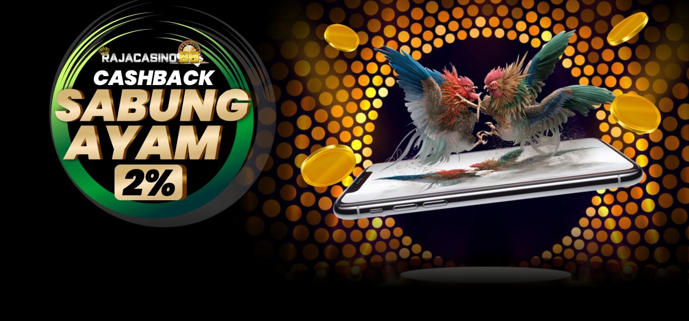 Cashback Sabung Ayam 2%